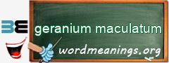 WordMeaning blackboard for geranium maculatum